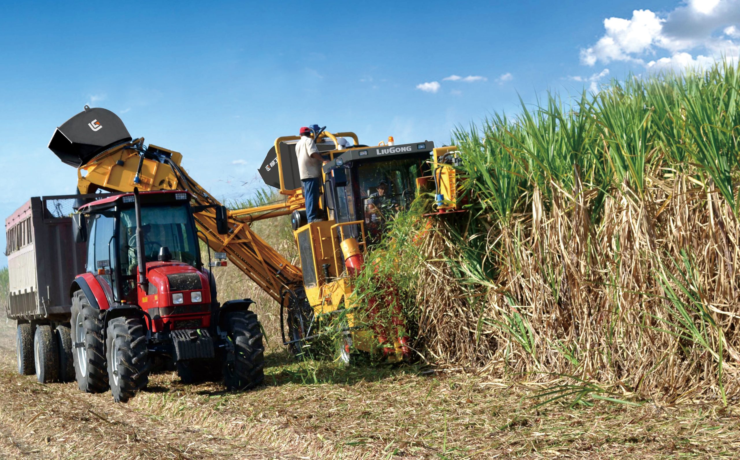 Giá đường neo cao, nhiều doanh nghiệp tăng giá mua mía