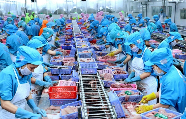 Giải pháp nào hạn chế điều tra Phòng vệ thương mại với mặt hàng nông thủy sản xuất khẩu