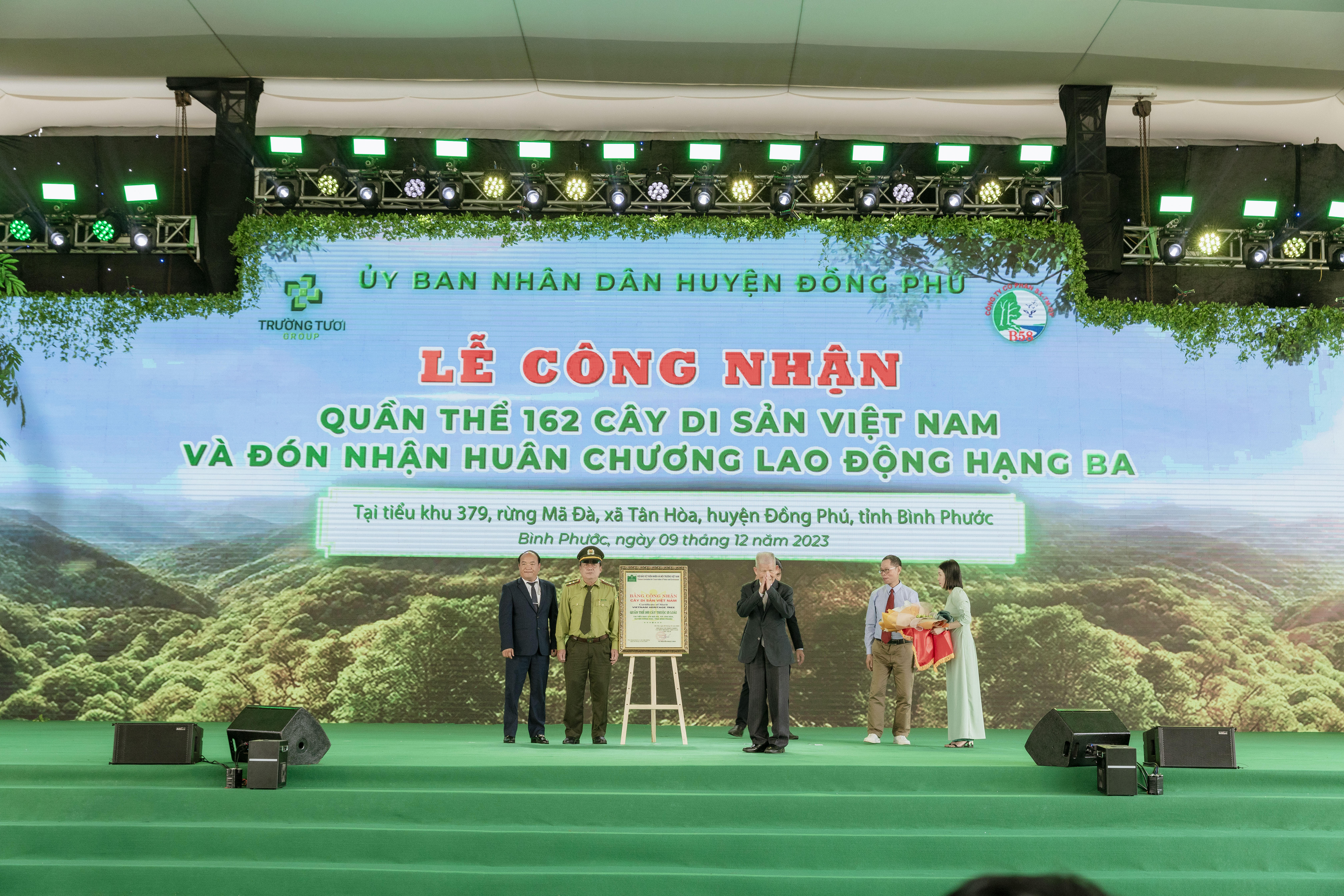 Bình Phước Công nhận quần thể 162 cây di sản Việt Nam tại rừng Mã Đà