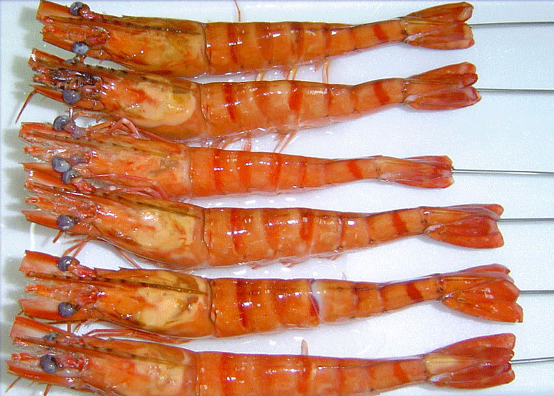 Sản phẩm tôm chế biến có lợi thế tại thị trường Australia