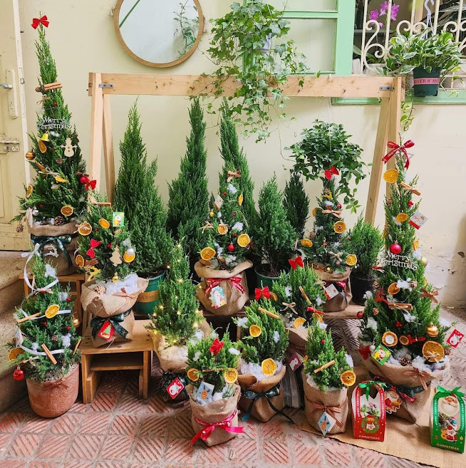 Thị trường đồ trang trí Giáng sinh đa dạng từ chủng loại, mẫu mã và giá thành