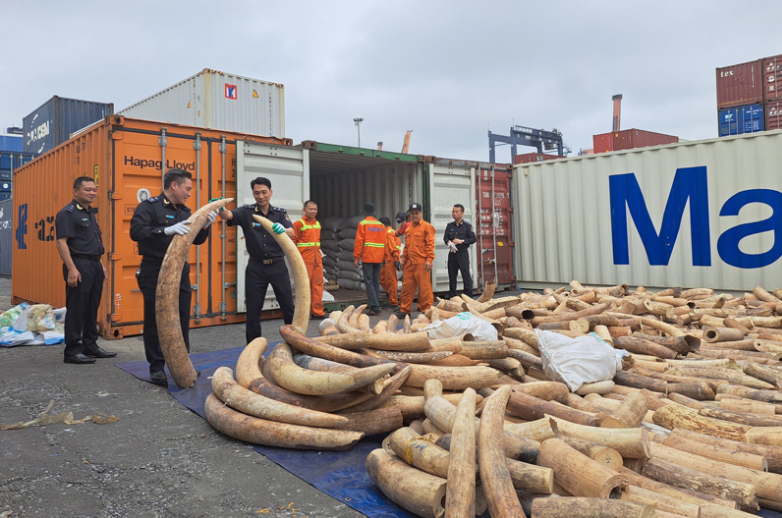 Năm 2023 phát hiện 14.618 vụ việc vi phạm pháp luật Hải quan