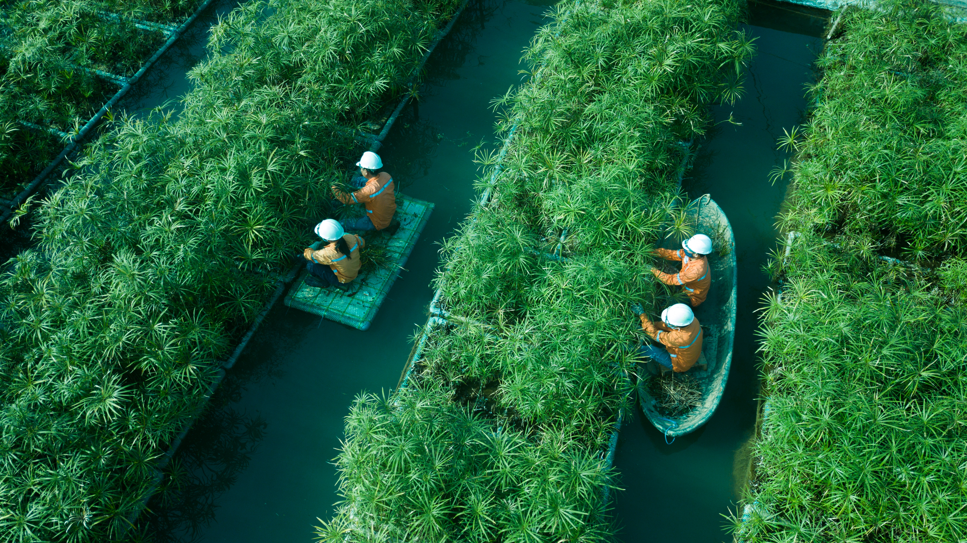 Tập đoàn Masan tiên phong đưa chiến lược ESG vào các hoạt động sản xuất kinh doanh