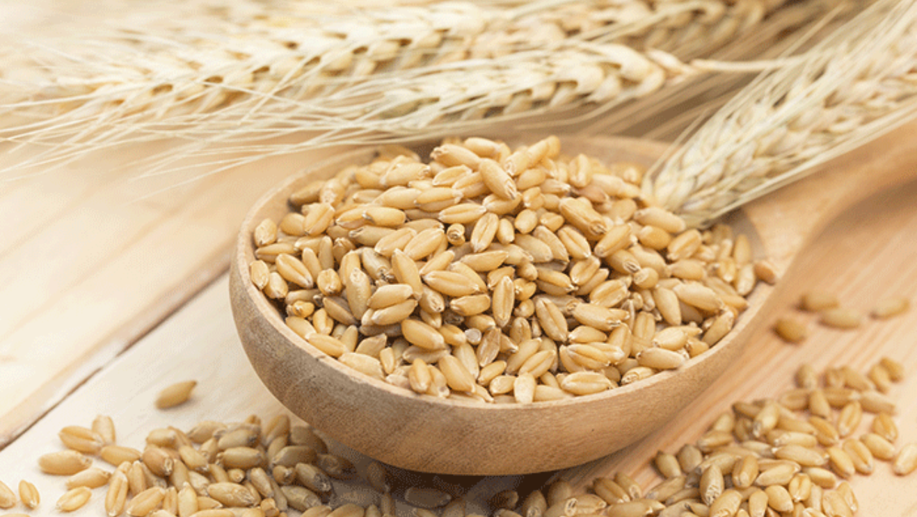 Thị trường hàng hóa 81 Giá dầu tăng mạnh, sắc đỏ áp đảo bảng giá nông sản