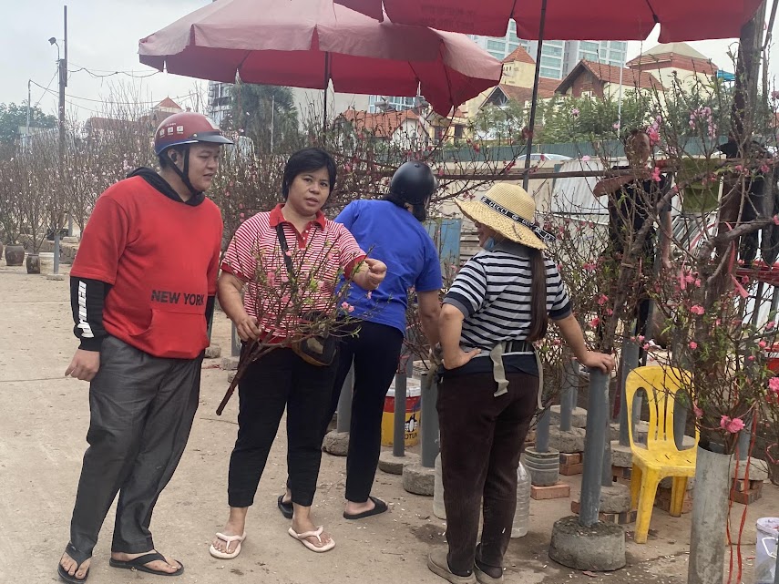 Hoa đào, hoa lê... xuống phố phục vụ người dân chơi Tết sớm