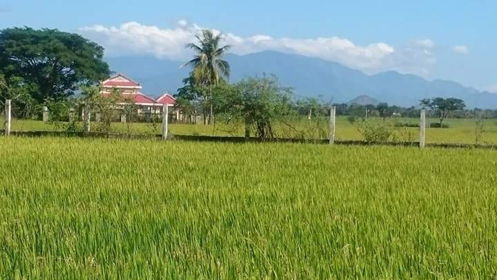 TẾT CHẬM TRÊN NẺO QUÊ