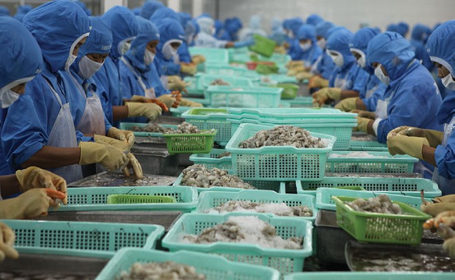 Tốc độ hồi phục chậm, yếu tố rủi ro có thể xuất hiện đối với các doanh nghiệp thủy sản trong quý 12024