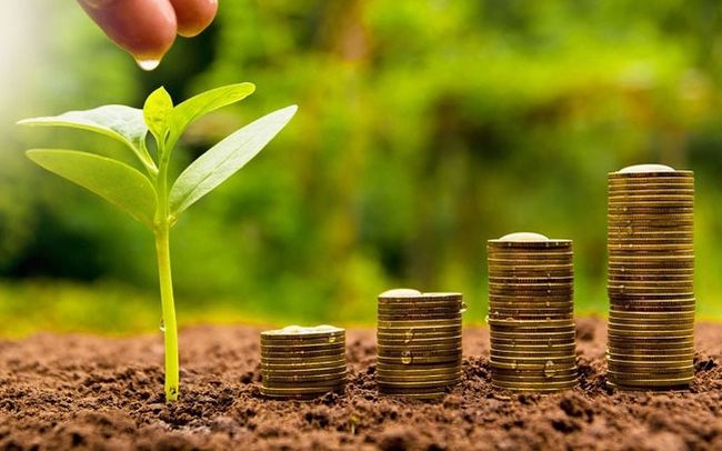 4 doanh nghiệp chốt quyền cổ tức tiền mặt tuần từ 22- 261