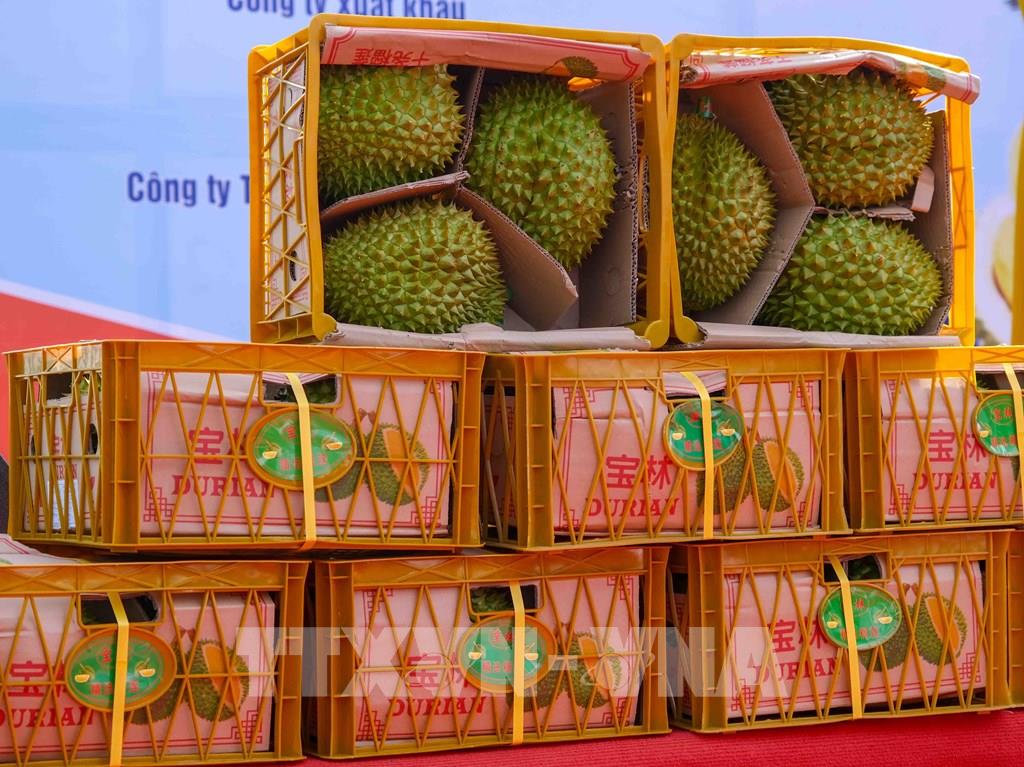 Ớt chuông, mỳ ăn liền, sầu riêng xuất khẩu vào EU được giám sát ngay tại cửa khẩu