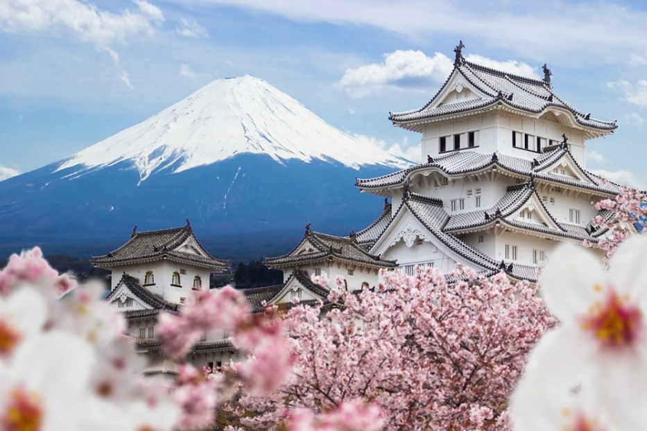 Hơn 13 triệu đồngvé chặng bay TPHCM-Vinh dịp Tết, du lịch nội địa ‘đói Tour