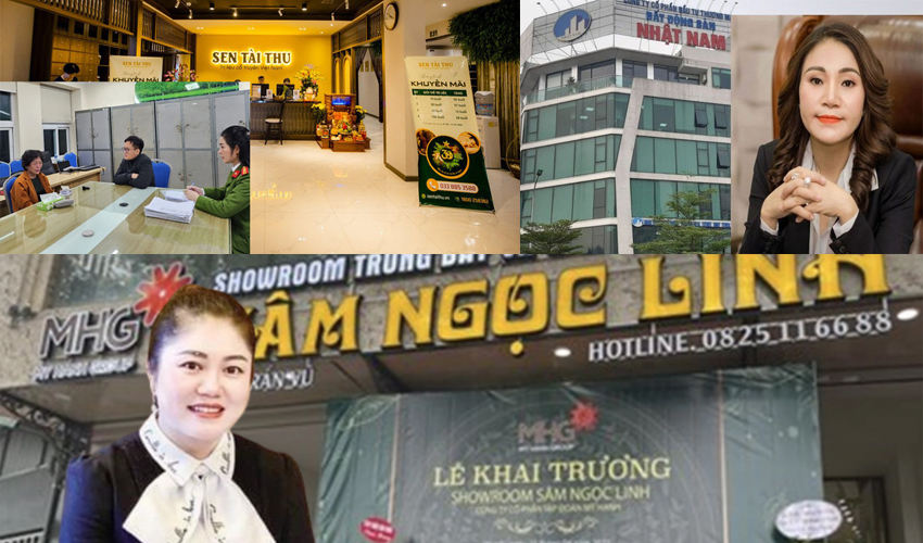 Loạt vụ án lừa đảo hàng nghìn tỷ có chung một chiêu thức, nhà đầu tư vẫn sập bẫy, vì sao