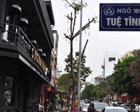 Hải Dương xem xét thí điểm tuyến phố ẩm thực Tuệ Tĩnh 