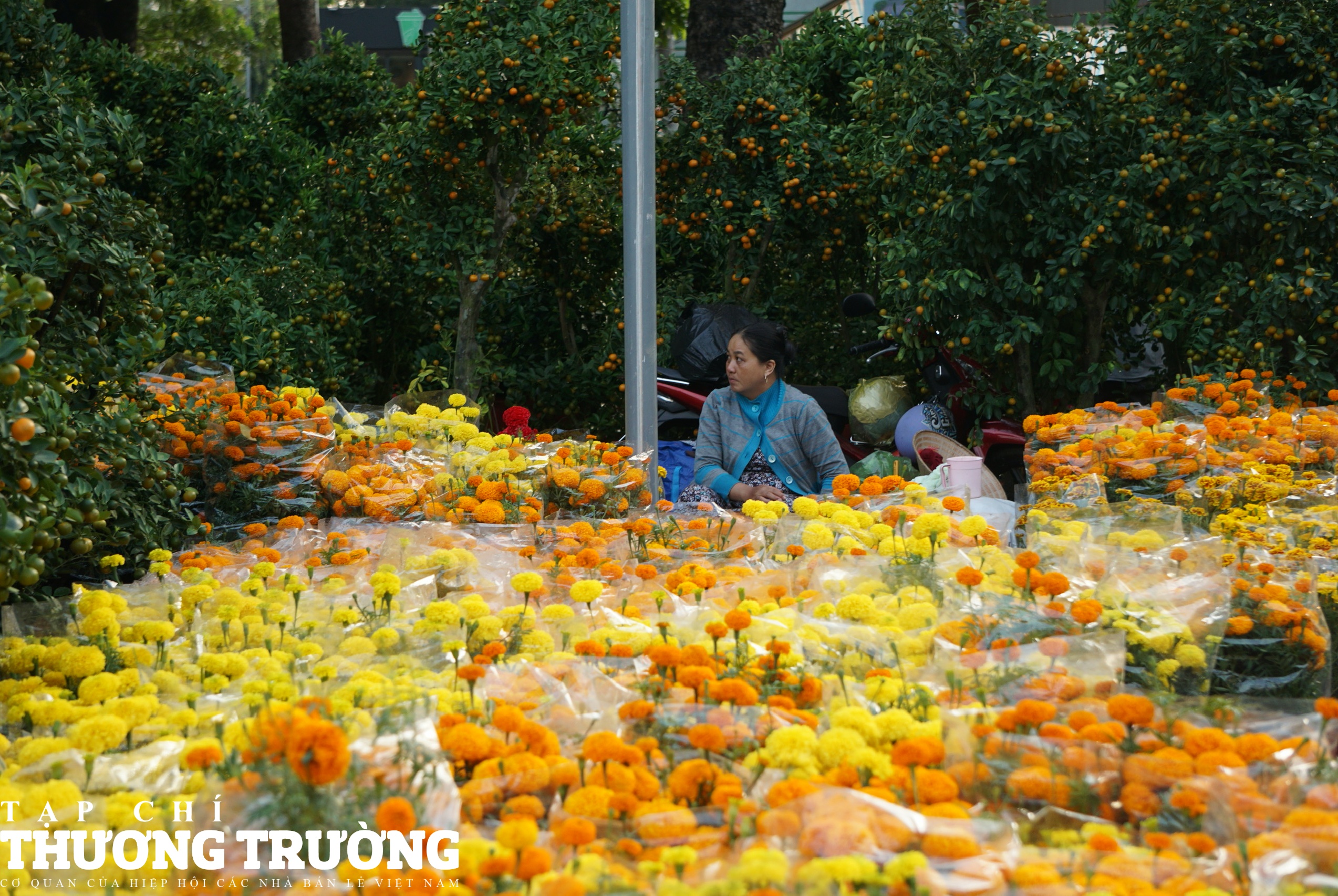 Chợ hoa TPHCM nhộn nhịp ngày cận Tết