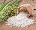 Giá lúa gạo hôm nay 12/2 Thị trường nội địa duy trì ổn định 