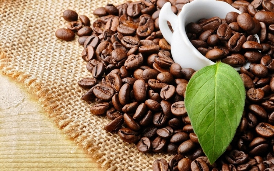 Giá cà phê robusta chạm đỉnh 30 năm