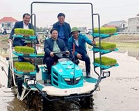 Thủ tướng Phạm Minh Chính xuống đồng cùng nông dân tỉnh Hải Dương 