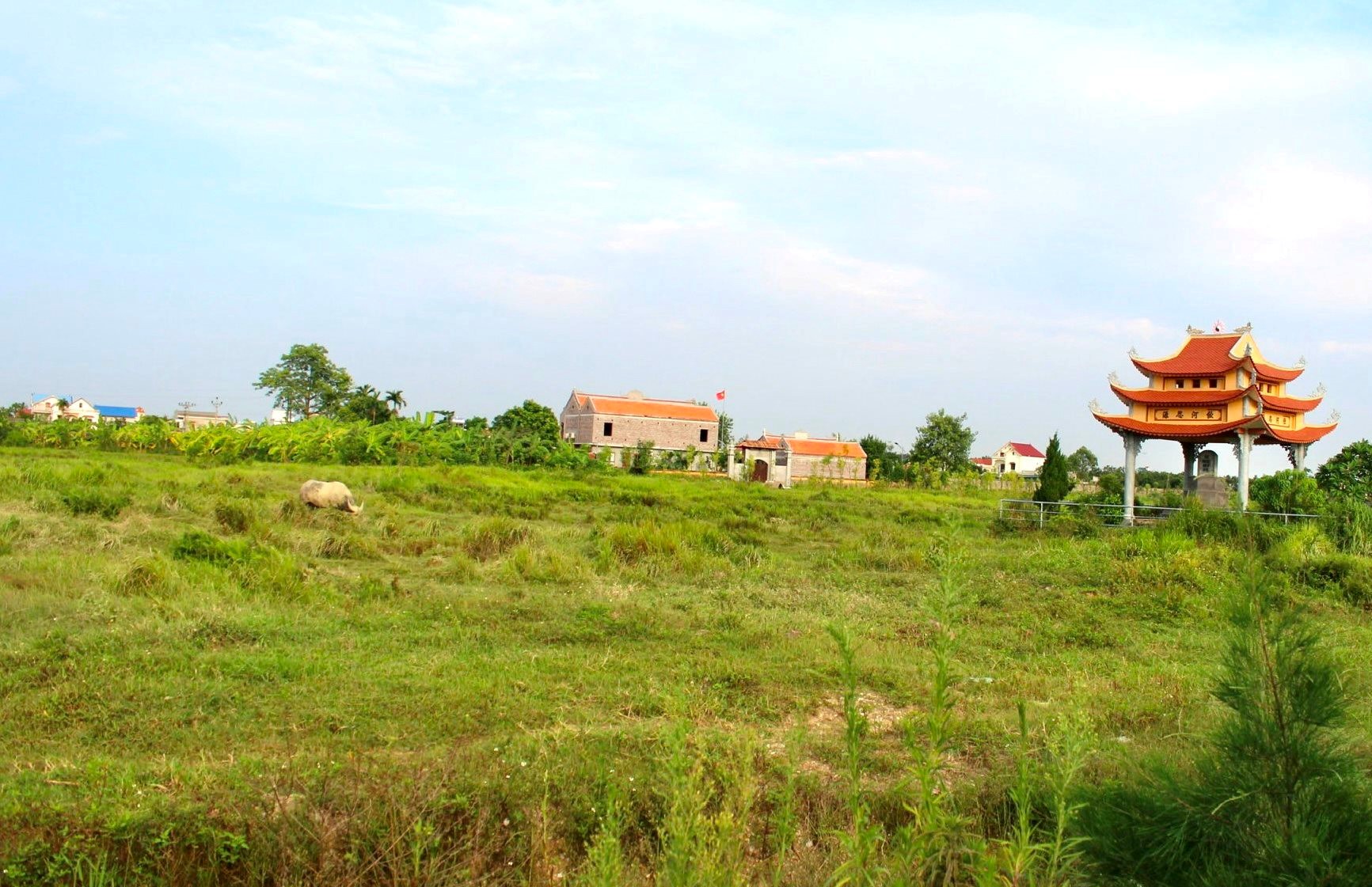 Hải Dương Loạt doanh nghiệp vi phạm đất đai bị đề nghị thu hồi