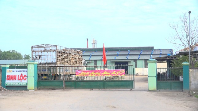 Quảng Ngãi Công ty Sinh Lộc xả nước thải chứa chất xyanua vượt quy chuẩn hơn 21 lần