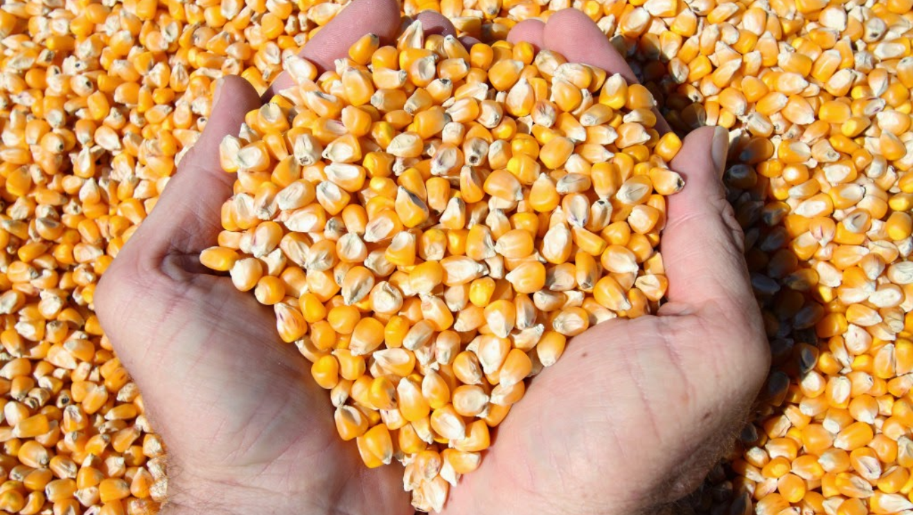 Thị trường hàng hóa 222 Hàng hóa nguyên liệu thế giới đón nhận lực mua tích cực