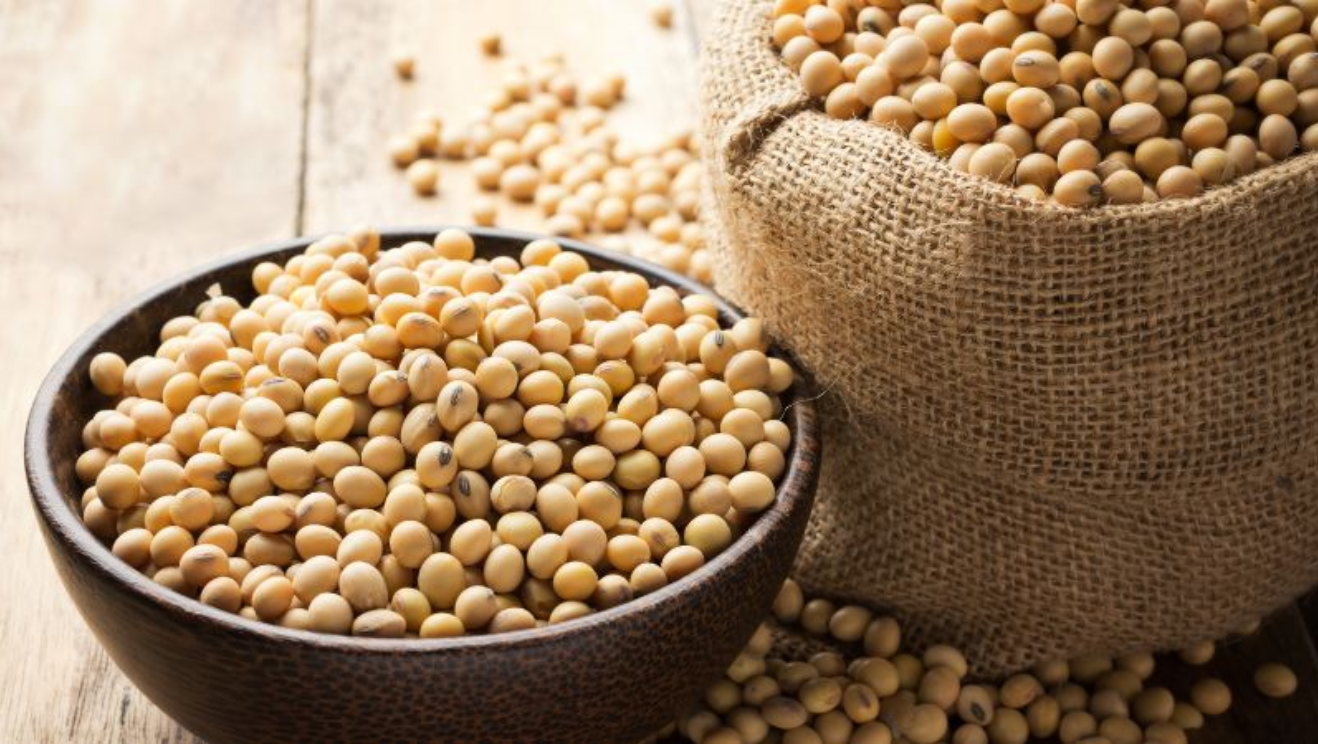 Thị trường hàng hóa hôm nay 232 Sắc đỏ chiếm áp đảo trên bảng giá nông sản, kim loại tăng giá