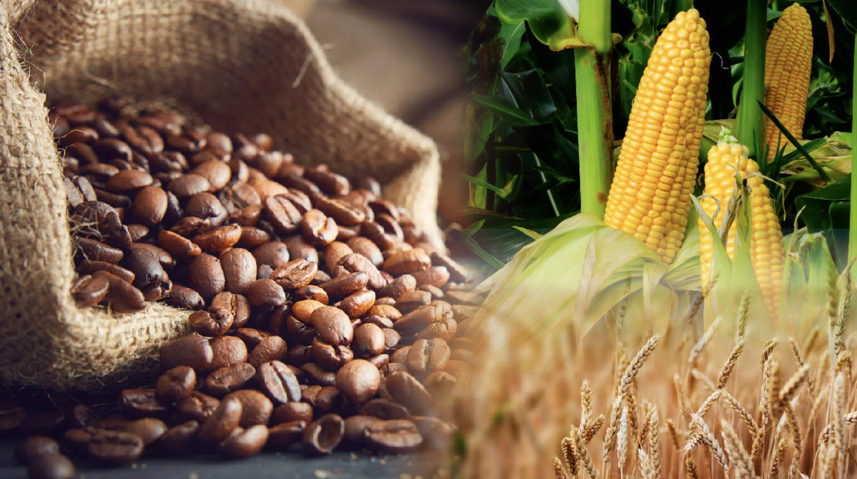 Thị trường hàng hoá 262 Hàng hóa nguyên liệu thế giới biến động rất mạnh