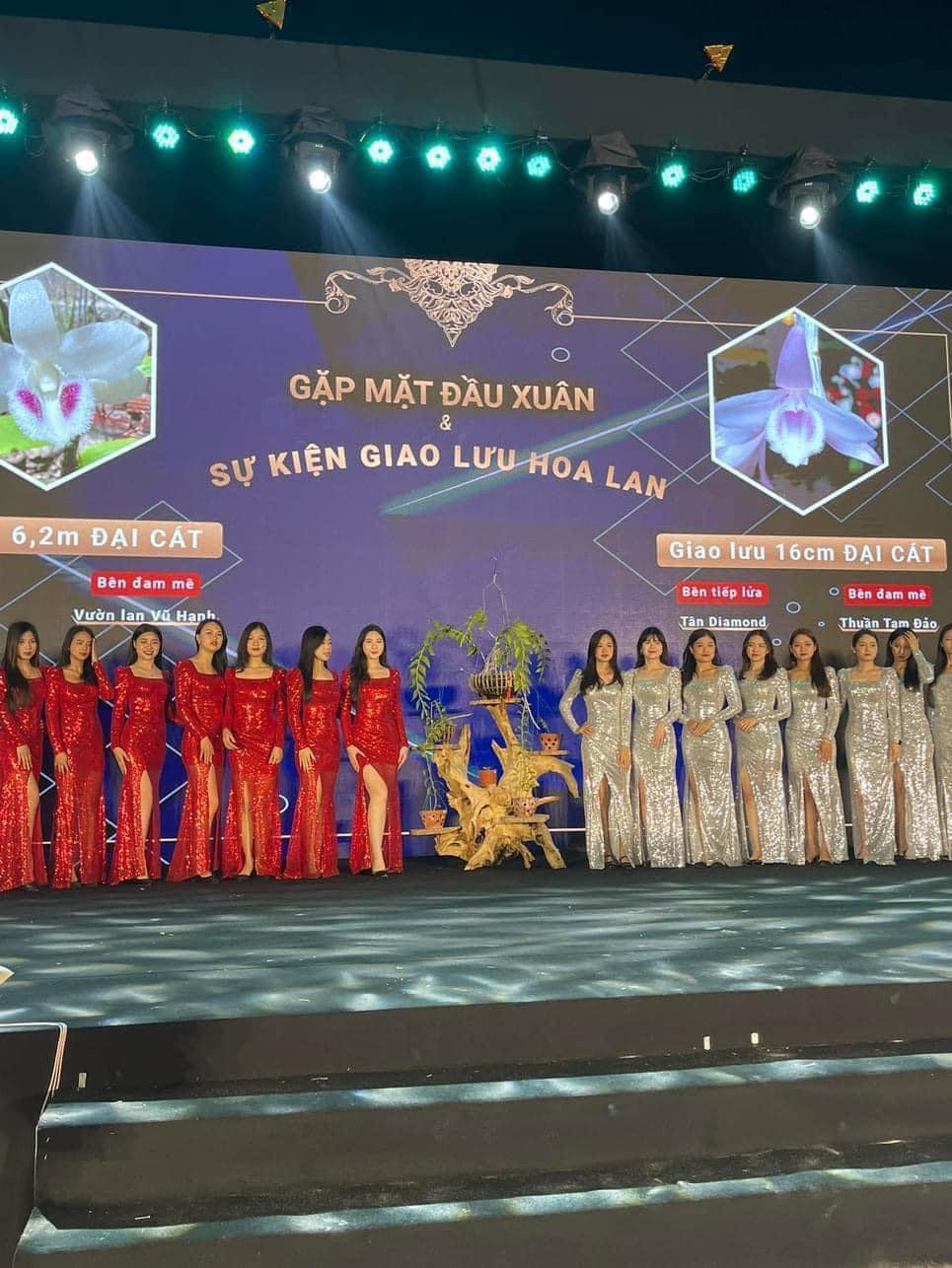 Lật tẩy chiêu trò làm nóng thị trường lan đột biến