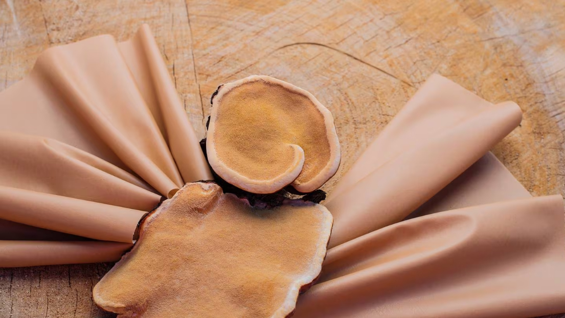 Đầu tư vào các vật liệu thế hệ mới của ngành dệt may đã tăng gần 10% trong năm 2023