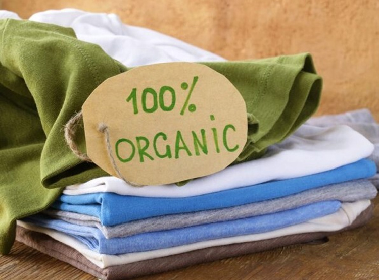 Thương mại xanh và sự trỗi dậy của người tiêu dùng có ý thức