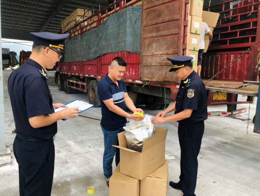 Gần 2.500 vụ viêc vi phạm pháp luật hải quan trong 2 tháng đầu năm