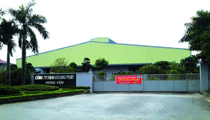 Vi phạm trong lĩnh vực đầu tư, đất đai, xây dựng Công ty Chung Phát - Hưng Yên bị xử phạt