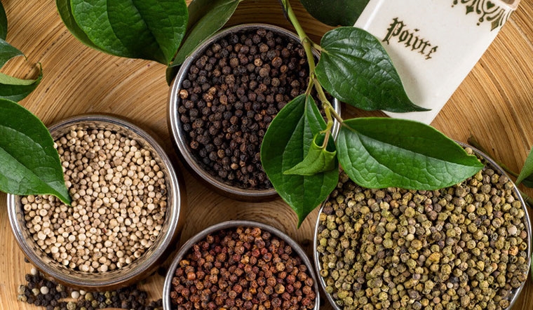 Nguồn cung vẫn thiếu hụt, giá tiêu có thể tiếp tục tăng cao