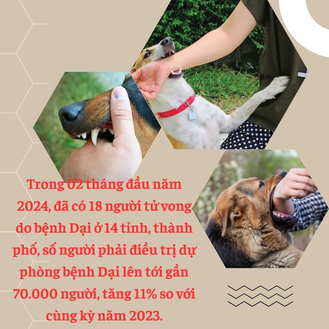 Công điện của Thủ tướng Chính phủ Tập trung thực hiện nghiêm công tác phòng, chống bệnh Dại