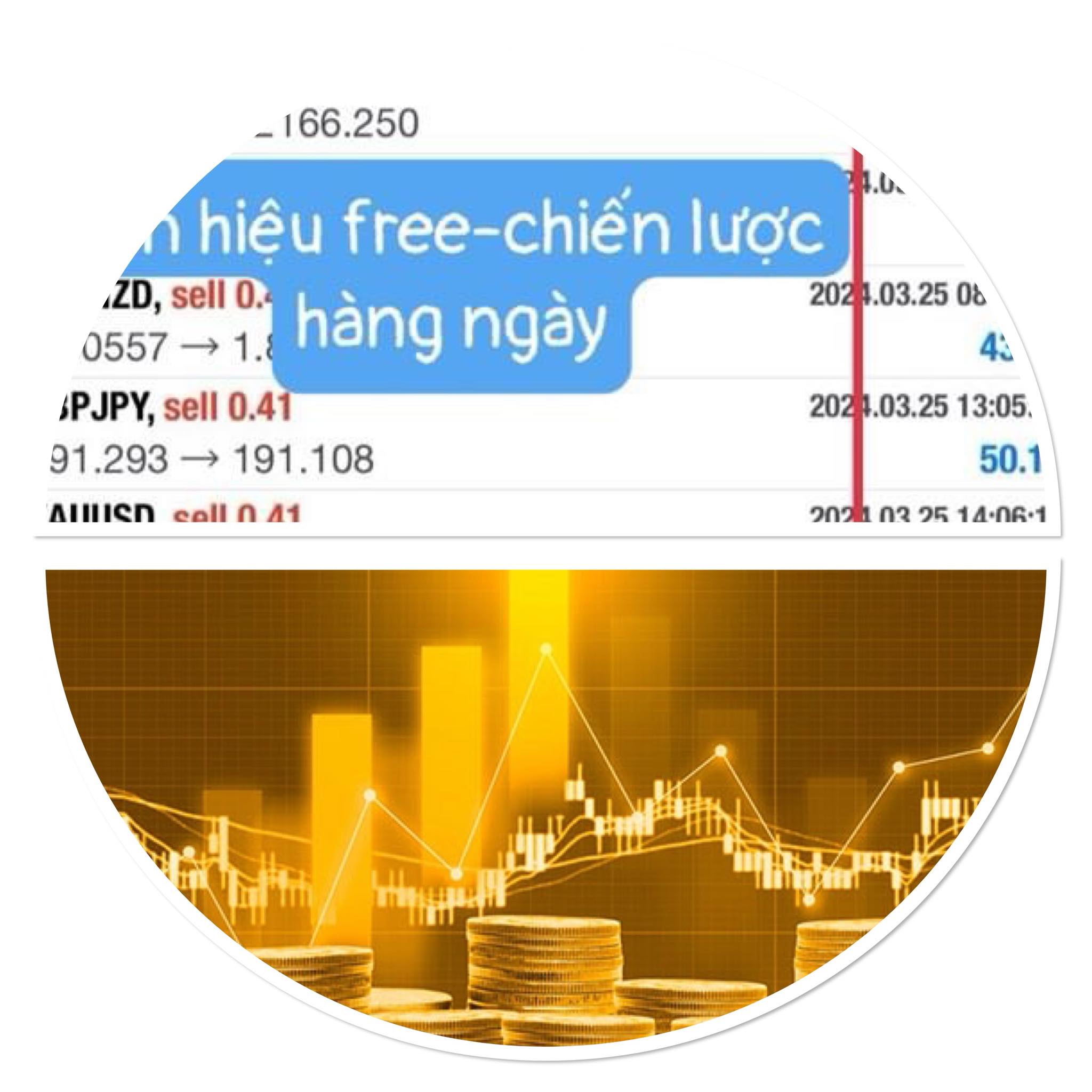 Cảnh giác với những hội nhóm, “thầy” dạy chơi vàng online