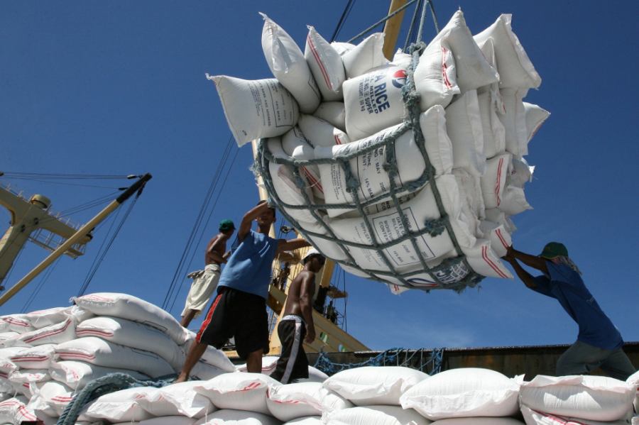 Philippines có thể giảm nhập khẩu gạo do nguồn cung nội địa tăng