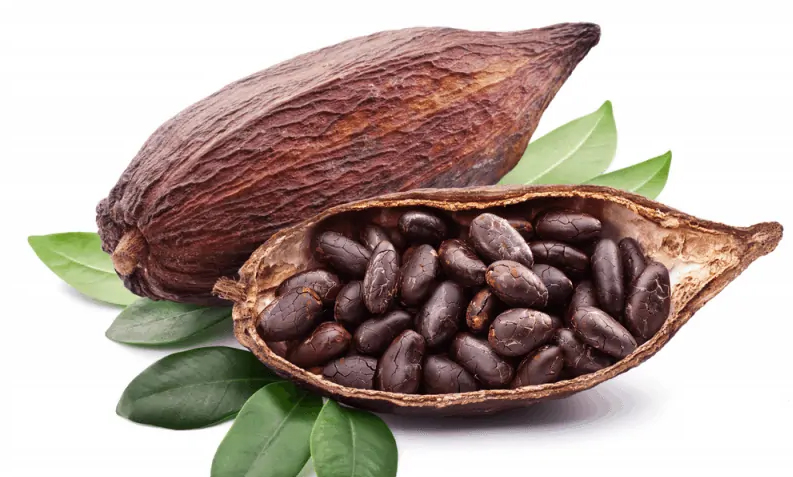 Thiếu hụt nguồn cung tiếp tục đẩy giá ca cao tăng kỷ lục