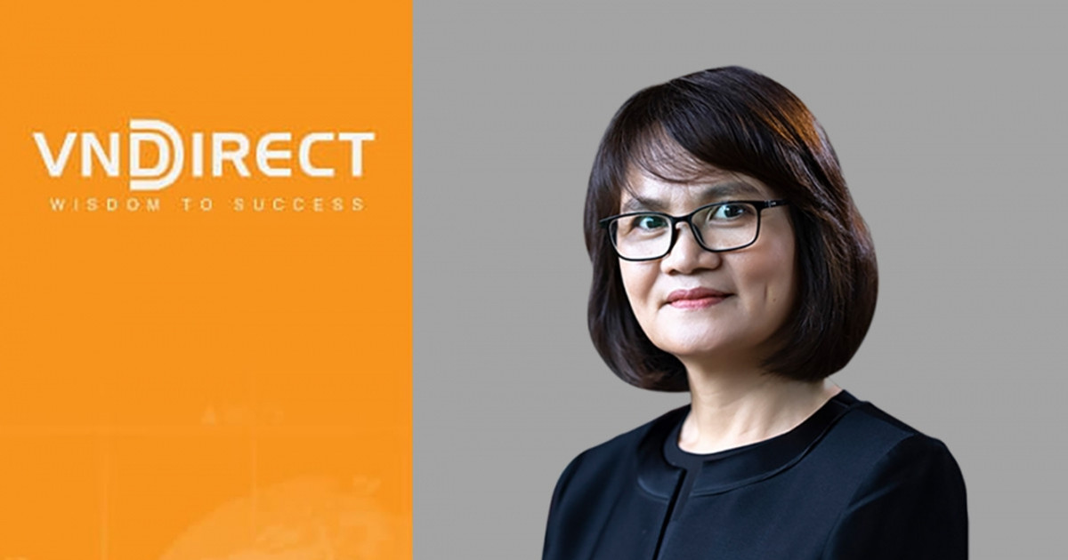 Chủ tịch Phạm Minh Hương Đội ngũ VNDirect thiếu kinh nghiệm phòng bị