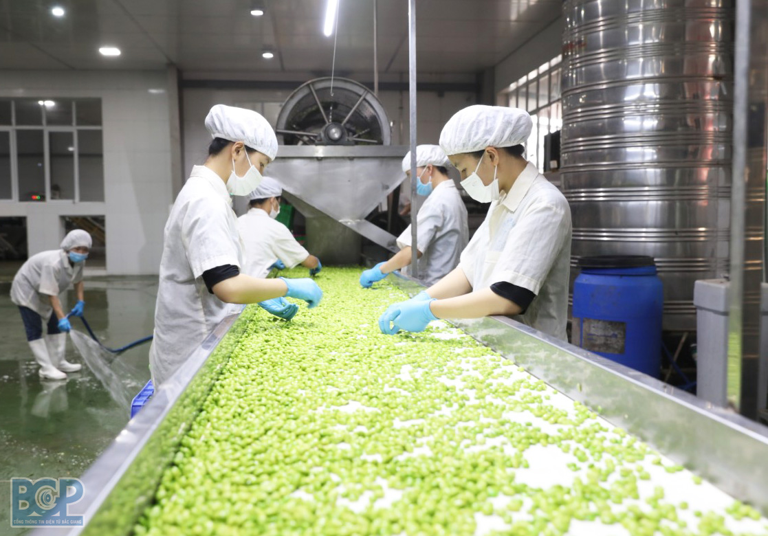 Mắc nhiều lỗi vi phạm, Công ty TNHH chế biến Nông sản Tân Tiến bị xử phạt 168 triệu