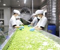 Mắc nhiều lỗi vi phạm Công ty TNHH chế biến Nông sản Tân Tiến bị xử phạt 168 triệu 