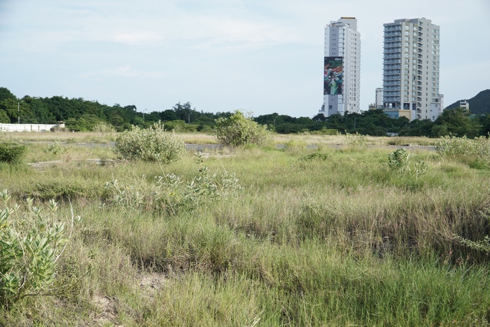 Khánh Hòa Thu hồi gần 700 tỷ tại các dự án sai phạm, chuyển cơ quan điều tra 3 vụ việc kinh tế