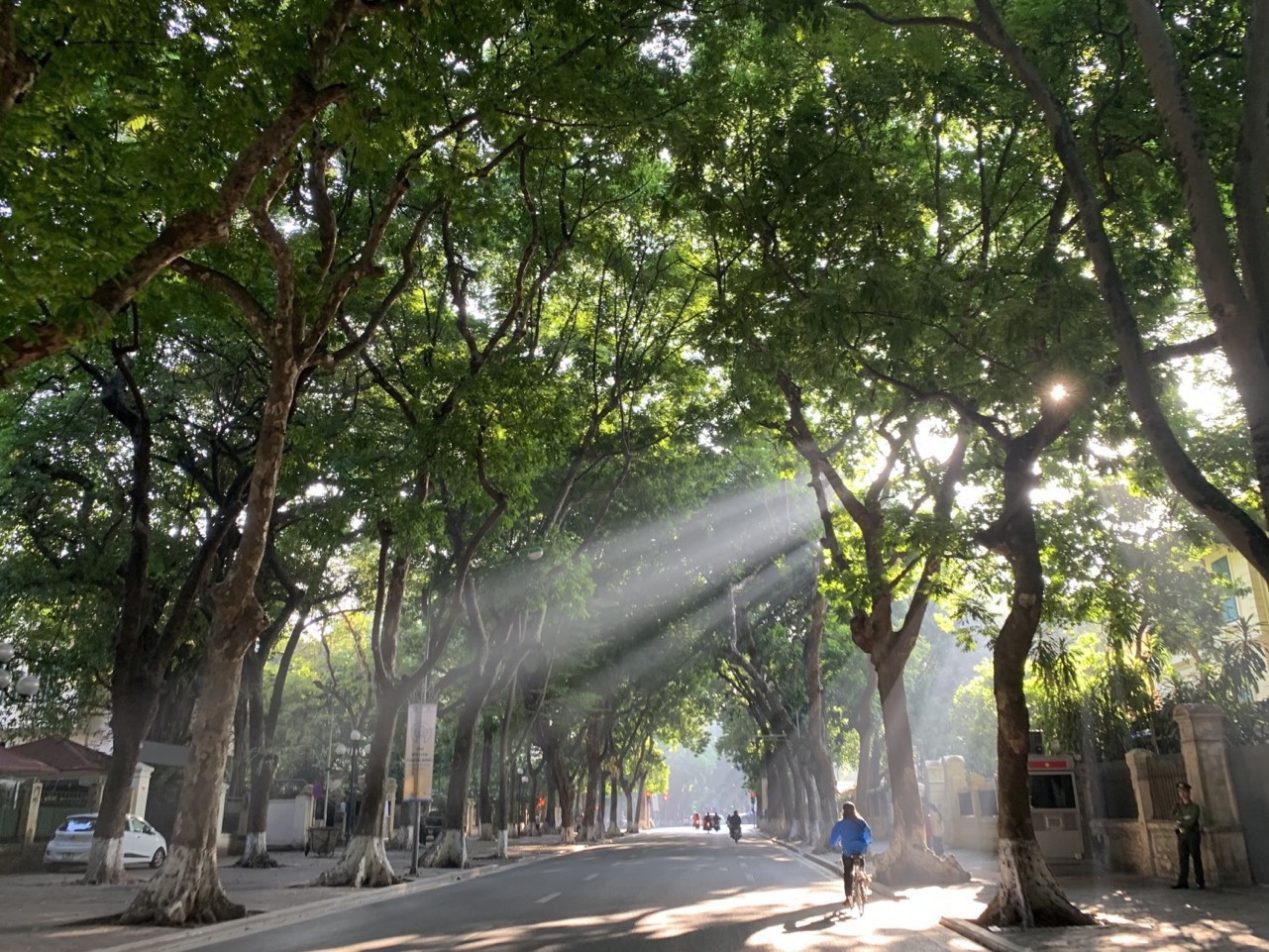 Dự báo thời tiết ngày 144 Bắc Bộ sáng sớm có sương mù, trưa chiều giảm mây trời nắng