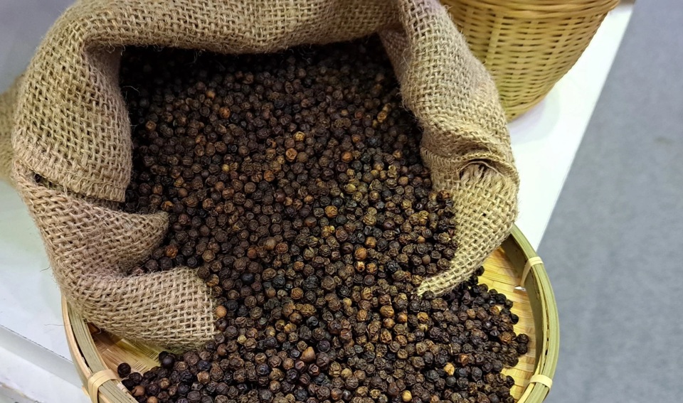 Giá tiêu hôm nay 224 Cao nhất 98.000 đồngkg