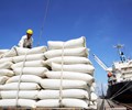 Xuất khẩu gạo của Việt Nam trong quý I/2024 vẫn tiếp tục chiếm lĩnh các thị trường trọng điểm  