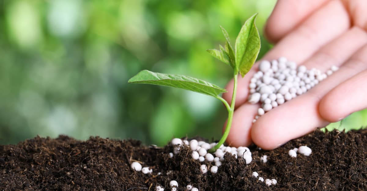 Giá phân bón hôm nay 15 Tiếp đà đi ngang