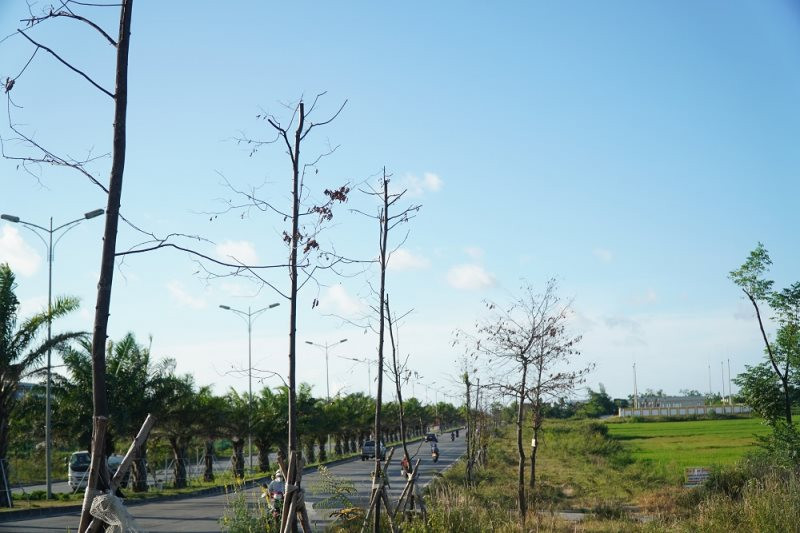 Công ty Cây xanh Công Minh đã trúng bao nhiêu gói thầu trước khi bị Bộ Công an điều tra