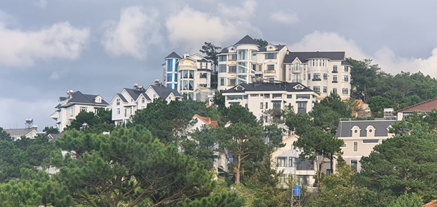 Tự ý chuyển đổi đất rừng phòng hộ CTCP Xây dựng - Du lịch Nam Hồ bị phạt 300 triệu đồng