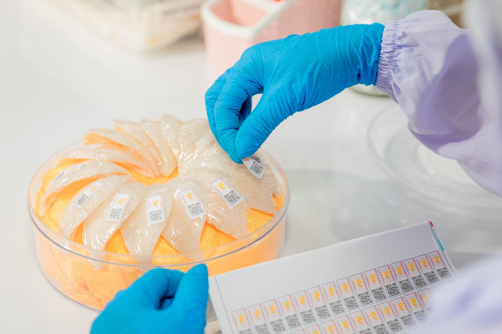 Việt Nam đang có nhiều cơ sở để hình thành một ngành công nghiệp về yến