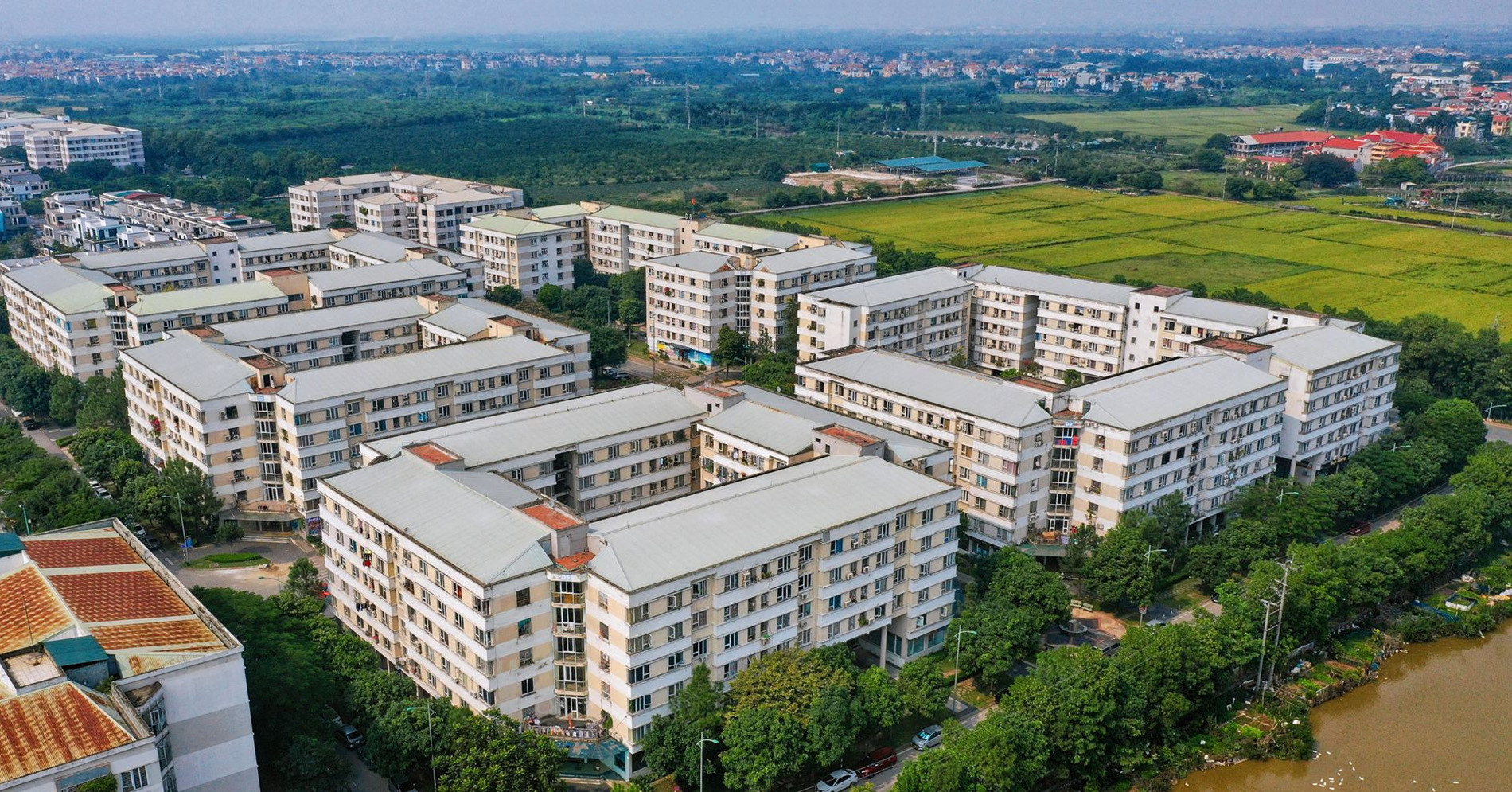 Ủy ban Kinh tế đề nghị Chính phủ thanh tra toàn diện nhà ở xã hội