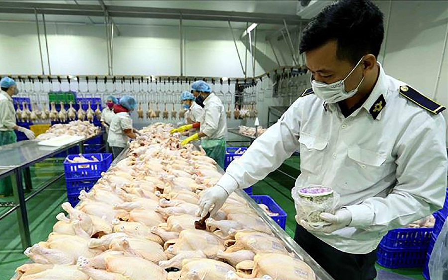 Doanh nghiệp lưu ý những thay đổi trong kiểm dịch sản phẩm động vật nhập khẩu