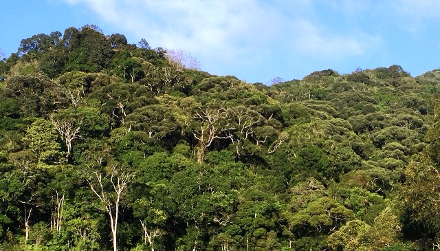 Nhiều thiếu sót, hạn chế trong công tác tài chính tại Ban quản lý Khu bảo tồn thiên nhiên Ngọc Linh