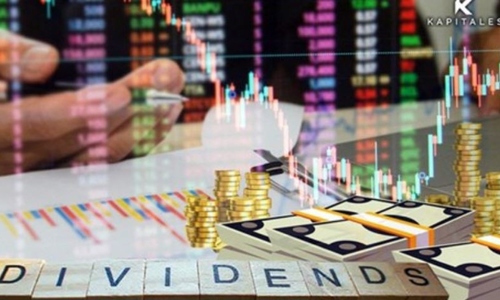 Nhà đầu tư ưa thích cổ tức - yếu tố thúc đẩy thị trường chứng khoán Việt Nam